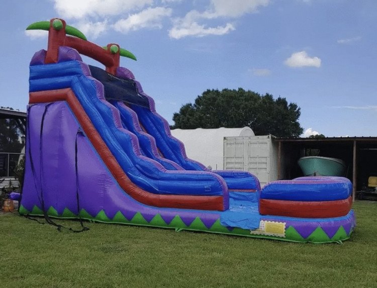 19 ft Purple Slide