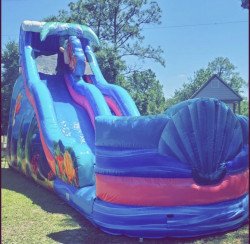 23 ft Mermaid Slide