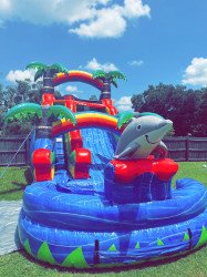 16 ft dolphin slide