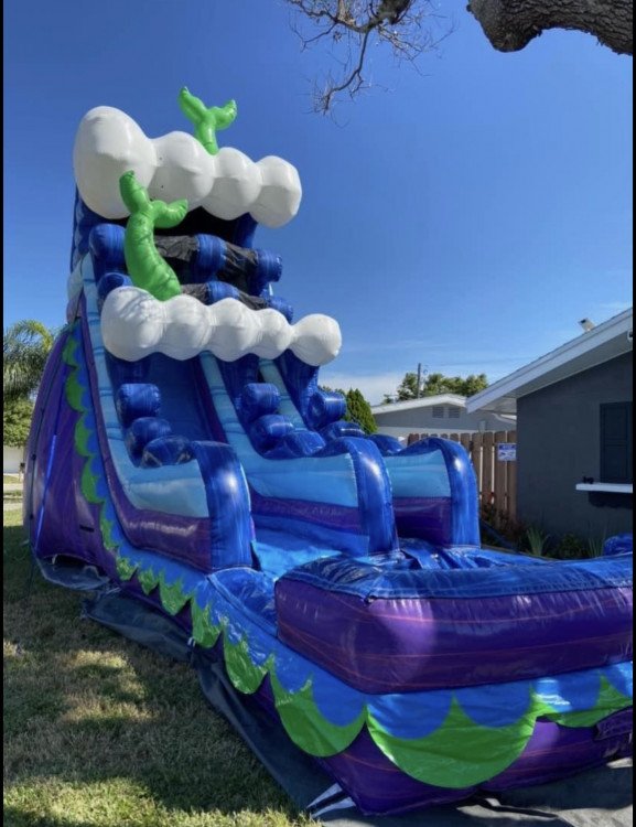 20 ft Mermaid Slide