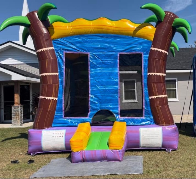Mystic palm 15x15 ft